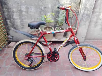 PHOENIX BICYCLE