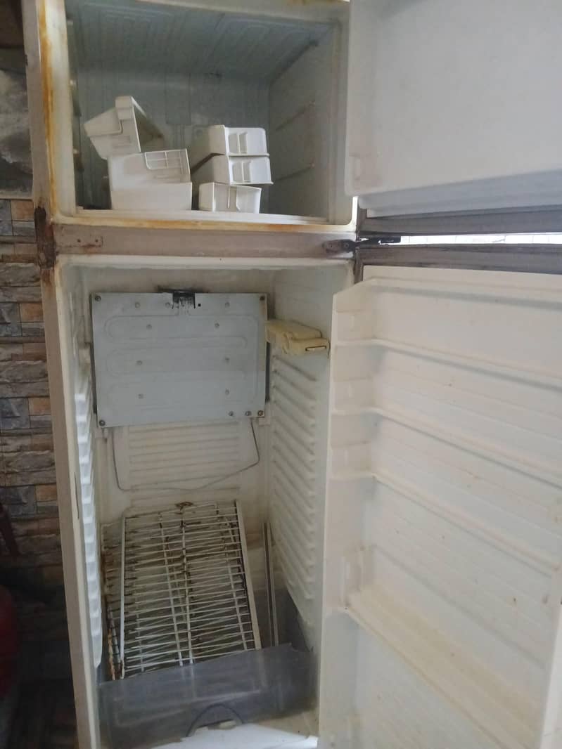 Fridge 1