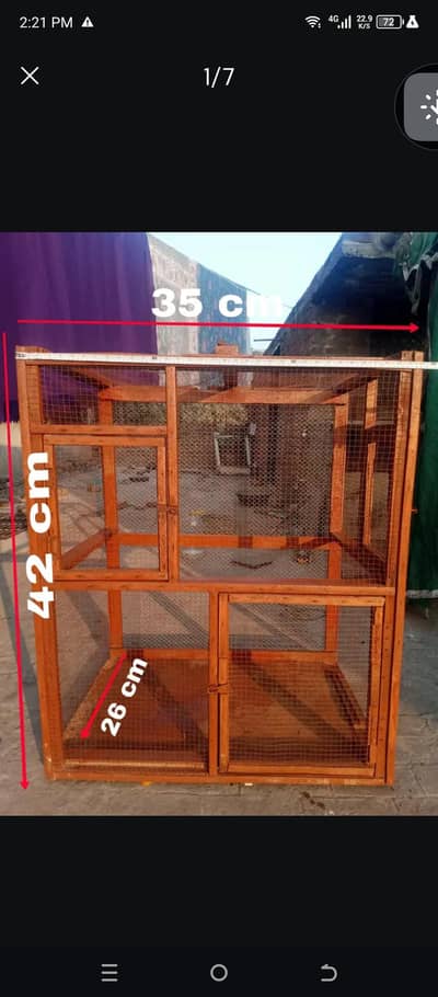 hens and parrots cage