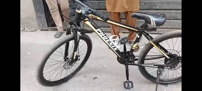 Phoenex Bicycle with Gear