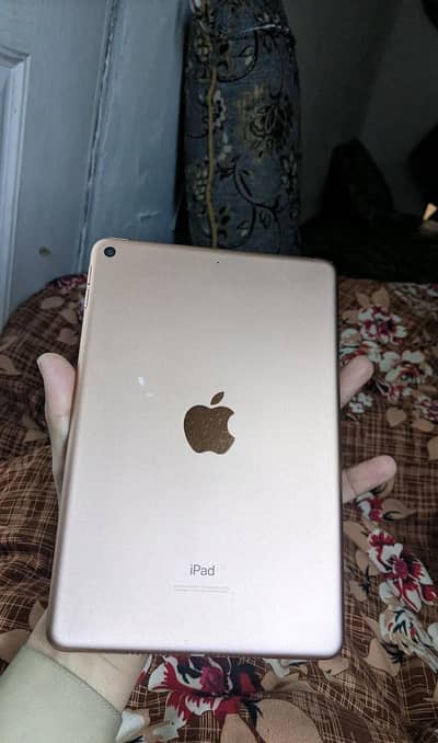 Ipad mini 5 Tablet good touch working urgently Sale