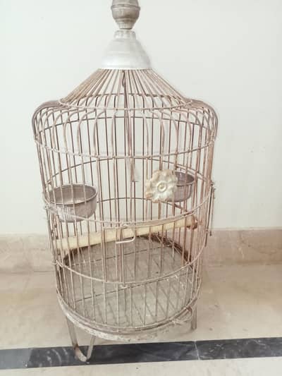 parrot cage