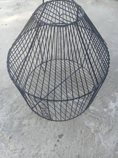 Hen and perrot cage