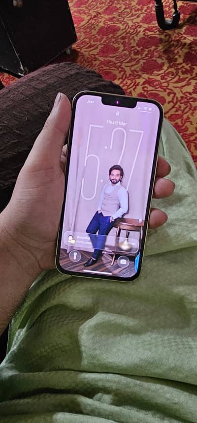 Ip 13pro Pta Approved Only Pannel Change