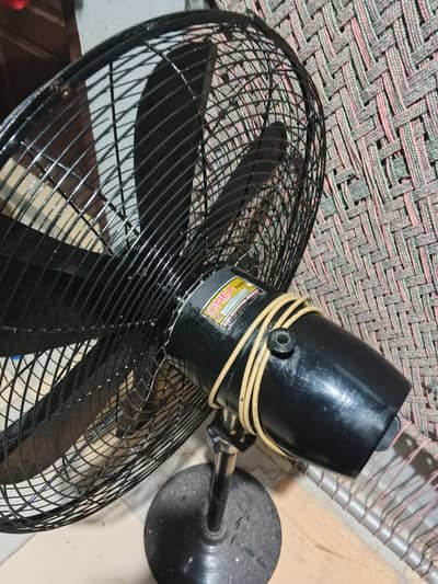 Pedestal Fan