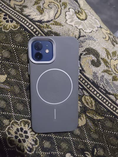 Adeel cheks for sale high quality breed