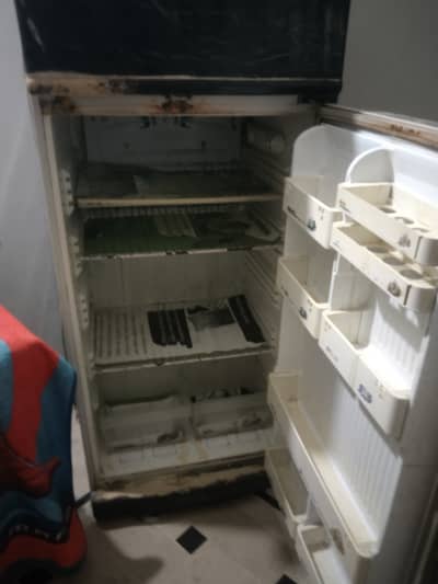 PEL refrigerator