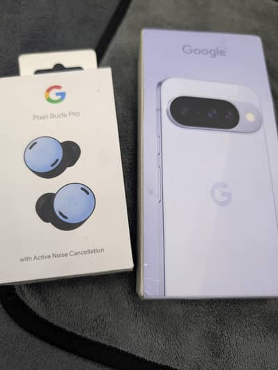 Google Pixel 10 frost