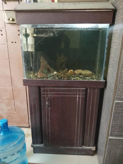 Fish Aquarium 2 ft for sale