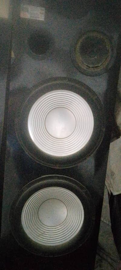 4 speaker in one box 2 each 10 inches speakers 10 by 10