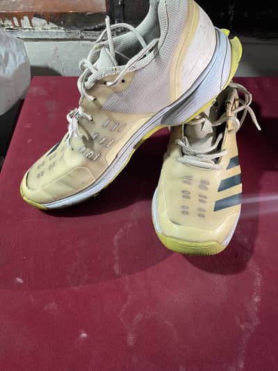 Adidas spikes shoes uk11