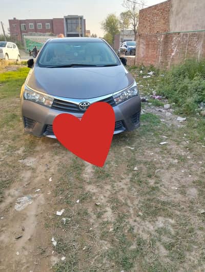 Corolla Gli 2016 -2017 new shape contact 03036074787