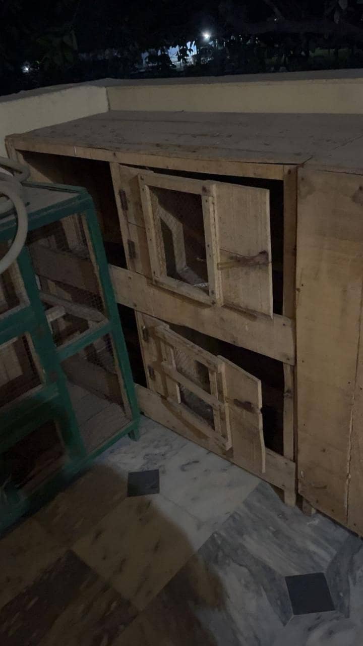 پرندوں کے لیے پنجرے 2