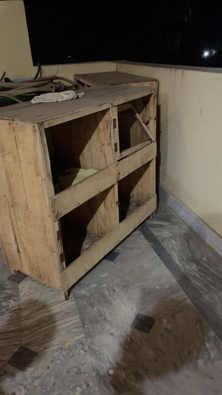 پرندوں کے لیے پنجرے 3