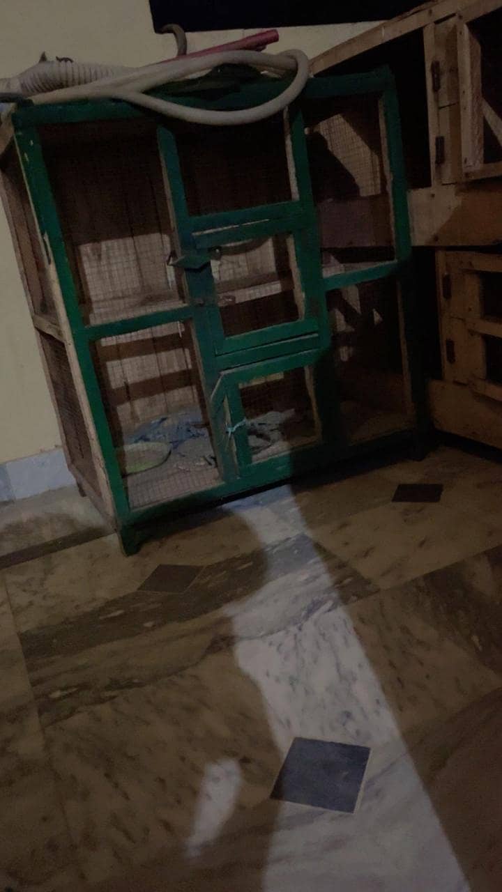 پرندوں کے لیے پنجرے 4