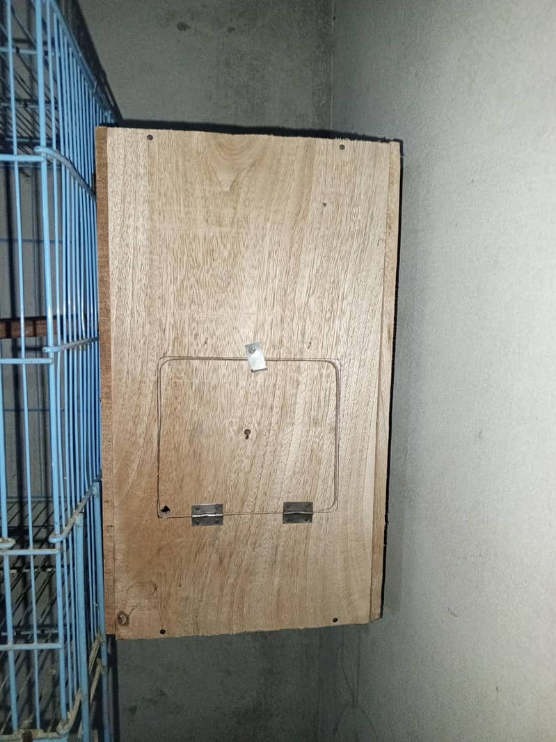 رنگ نیک کا بریڈر جوڑا چار انڈے اتارے ہوئے ہیں تین انڈے فرٹ ٹائل ہیں ہے 4