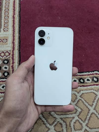 IPhone 12 | Water Pack. Lush Condition. Health 87%