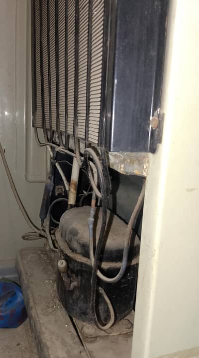 medium size PEL Fridge