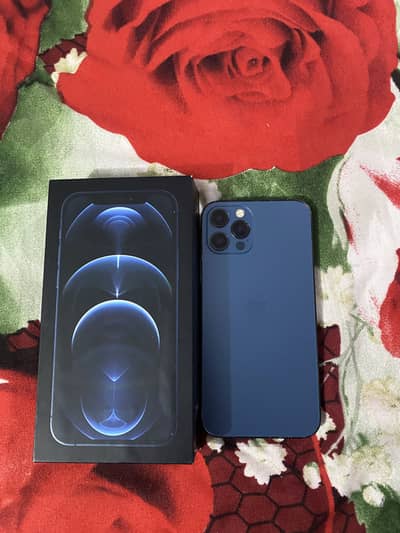 iPhone 12 Pro PTA Approved