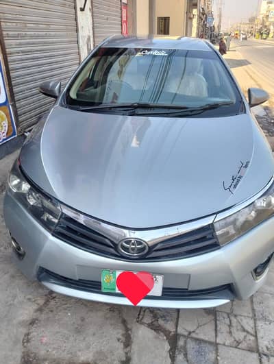 GLI 2015/16 Lush condition