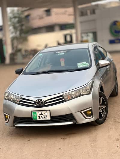 chat Digi bonet jenion