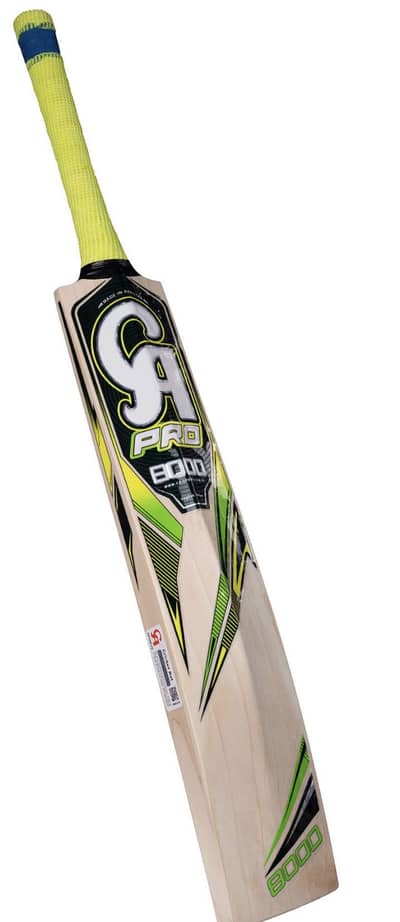 Hardball cricket bat with full kit