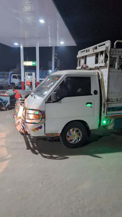 shehzor ciaban for sale