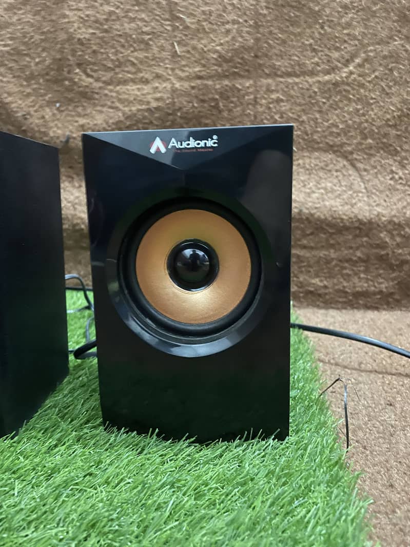Audionic Speakers 1