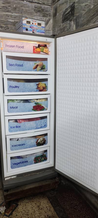 Vertical Freezer  Dawlance