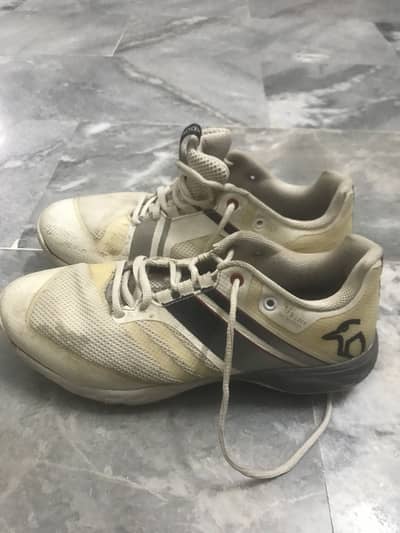 kookaburra spikes uk 8