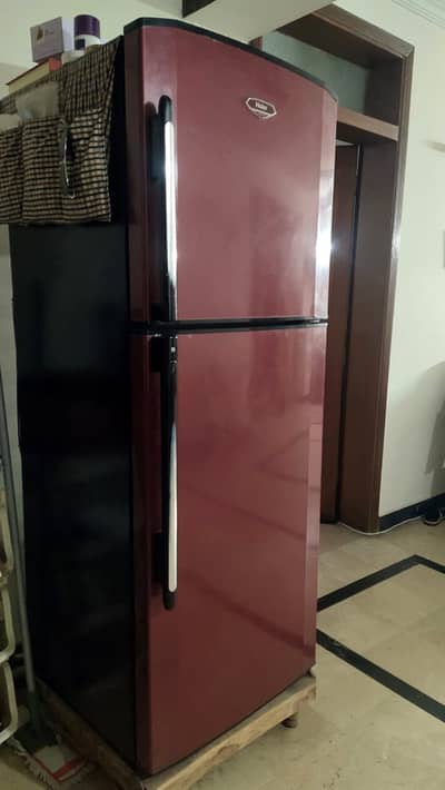 Haier Full size  Refrigerators