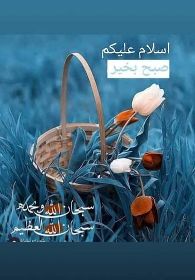 halwa poori roll samosa ka kariger chaiye 03128819794