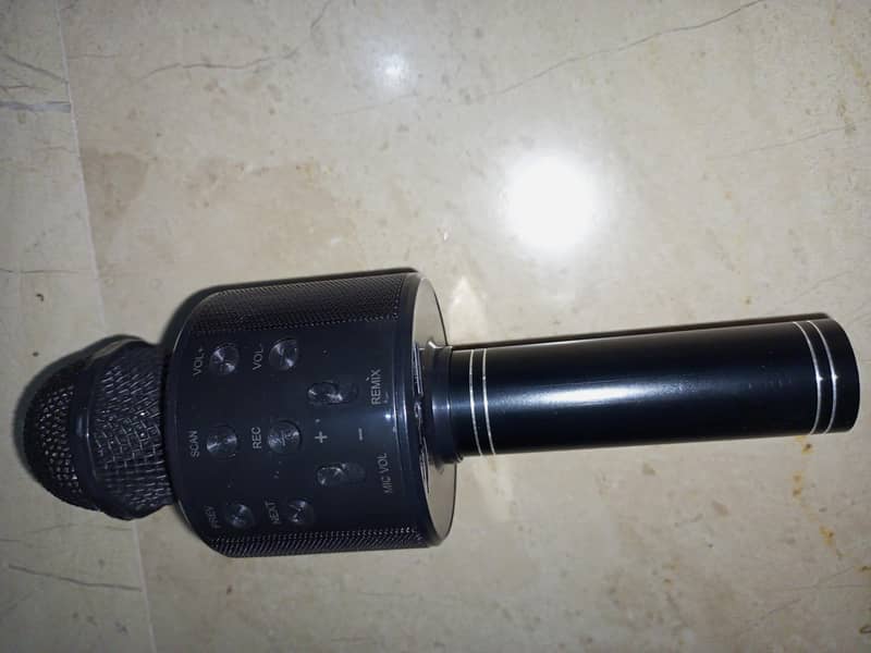mic . 2