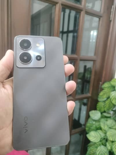 Vivo 36