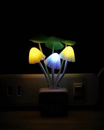 most romantic gift  in Pakistan |Cash on delivery