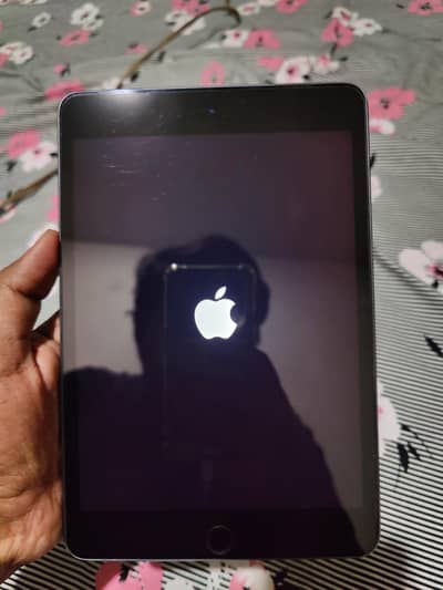Ipad Mini 5 64Gb