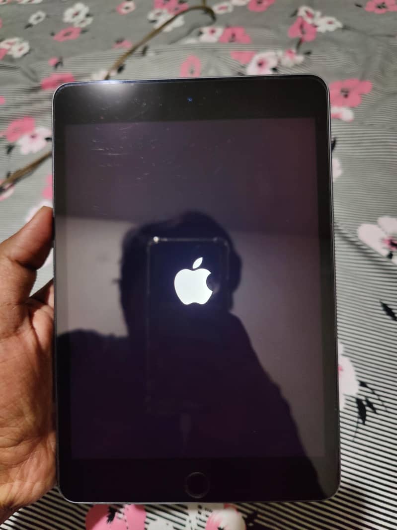 Ipad Mini 5 64Gb 0
