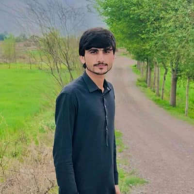 Muhammad Waseem 