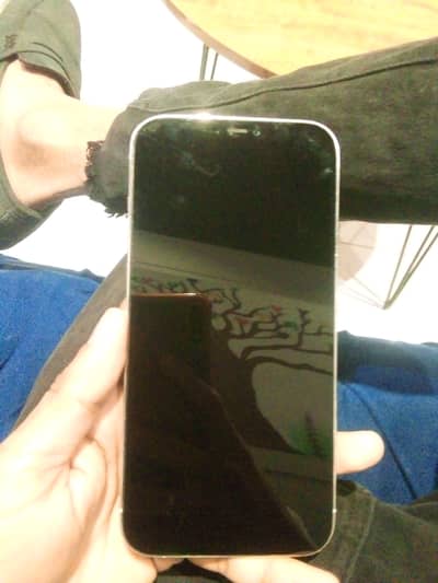 iphone 12 pro max panel change just  icloud lock