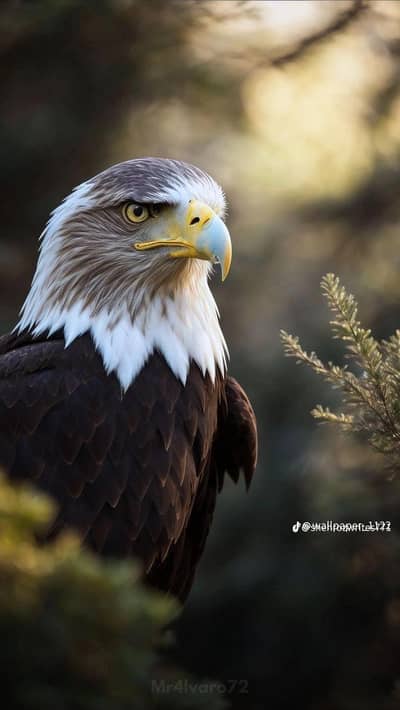 I want a secretary girl for myself in My Office