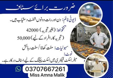 Mayfiar buiscuit factory job available urgent staff hire factory job