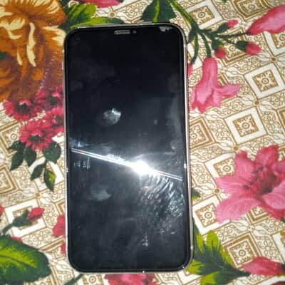 Seriyous buyers Contact