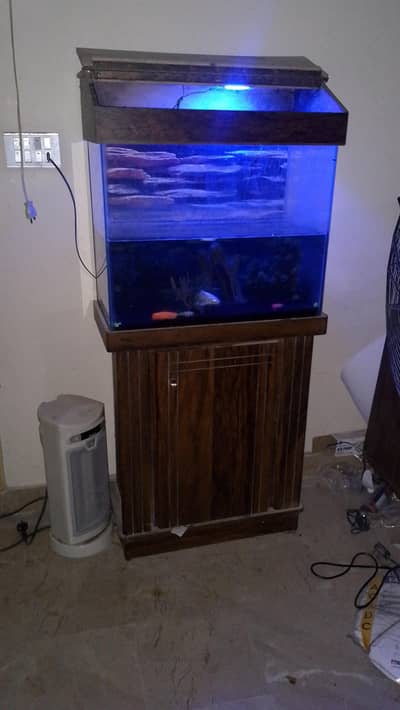 Fish Aquarium