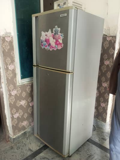 orient Fridge with steplizer