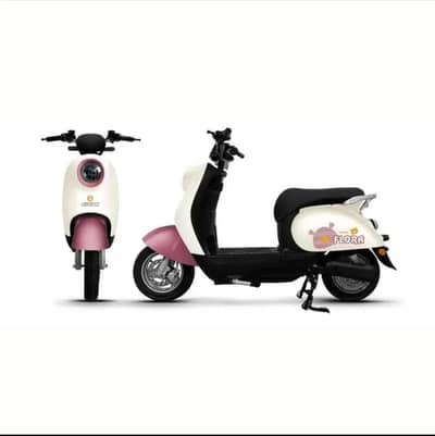 i am saleing my scooty flora. under warranty. fresh condition.