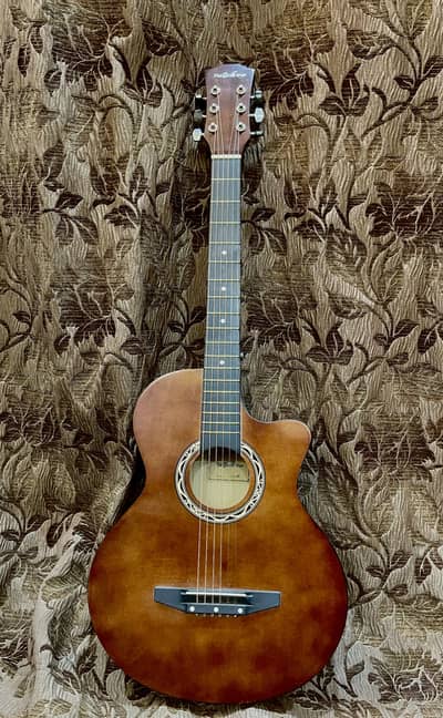 Classic Acoustic Guitar