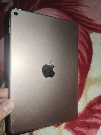 iPad mini 5