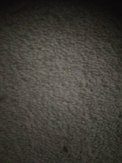 bahut hi acchi kism ki carpet Sahi moti aur naram