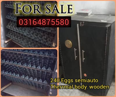 240 eggs semi auto incubator