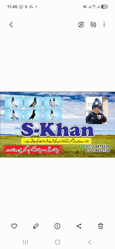 03124476239 WhatsApp